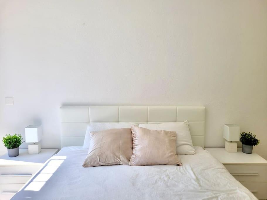 Apartment Palma - Central & Cozy With Free Private Parking ルガーノ エクステリア 写真