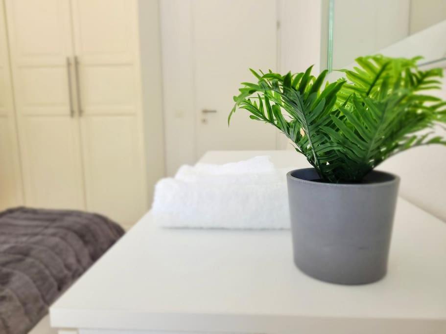 Apartment Palma - Central & Cozy With Free Private Parking ルガーノ エクステリア 写真